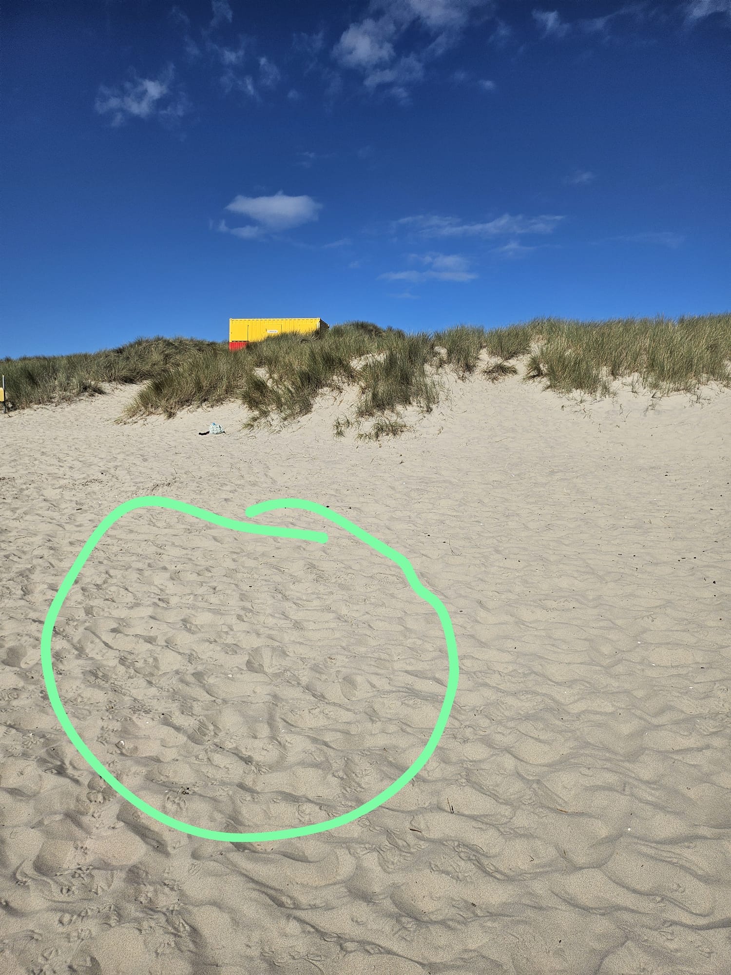 The dunes and sand at Curracloe beach with a green circle drawn on the photo around the area where the ring was lost