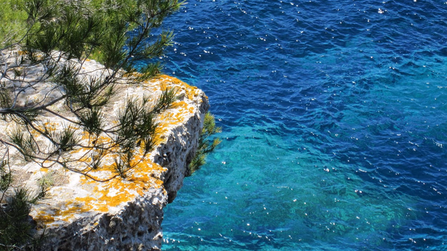 A small Mallorca cove in soft evening light, turquoise water and pine trees around the rocks, the kind of beach where a lost ring on the last day of a holiday is still close to where it fell